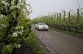 MG Bloesemrit op 24-4-2016 org. Jos&Marie-lou  (95)